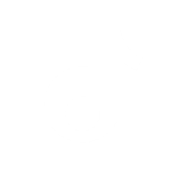 TikTok logo